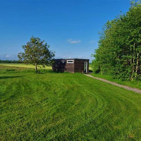 Tiny House "De Veenpolder" De Veenhoop 외부 사진