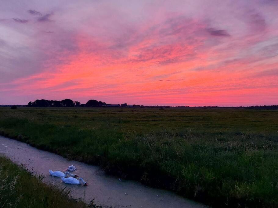 Tiny House "De Veenpolder" De Veenhoop 외부 사진