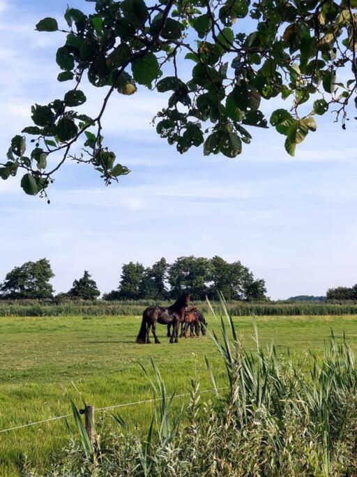 Tiny House "De Veenpolder" De Veenhoop 외부 사진